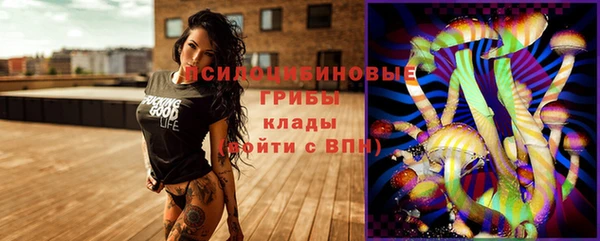 винт Богданович
