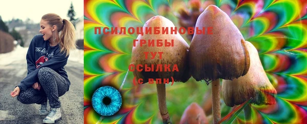 винт Богородицк