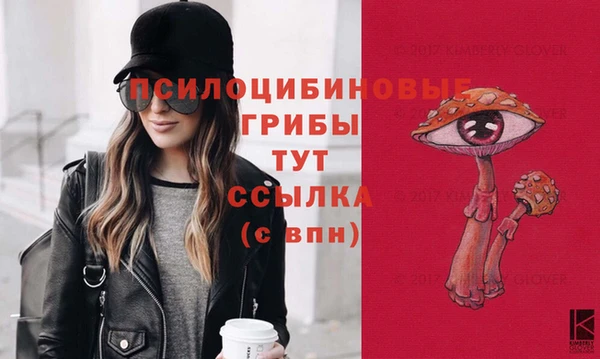 винт Богородицк