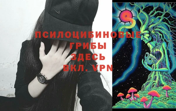 дурь Богородск